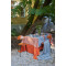 Скатерть на стол из хлопка оранжевого цвета russian north, 170х170 см
